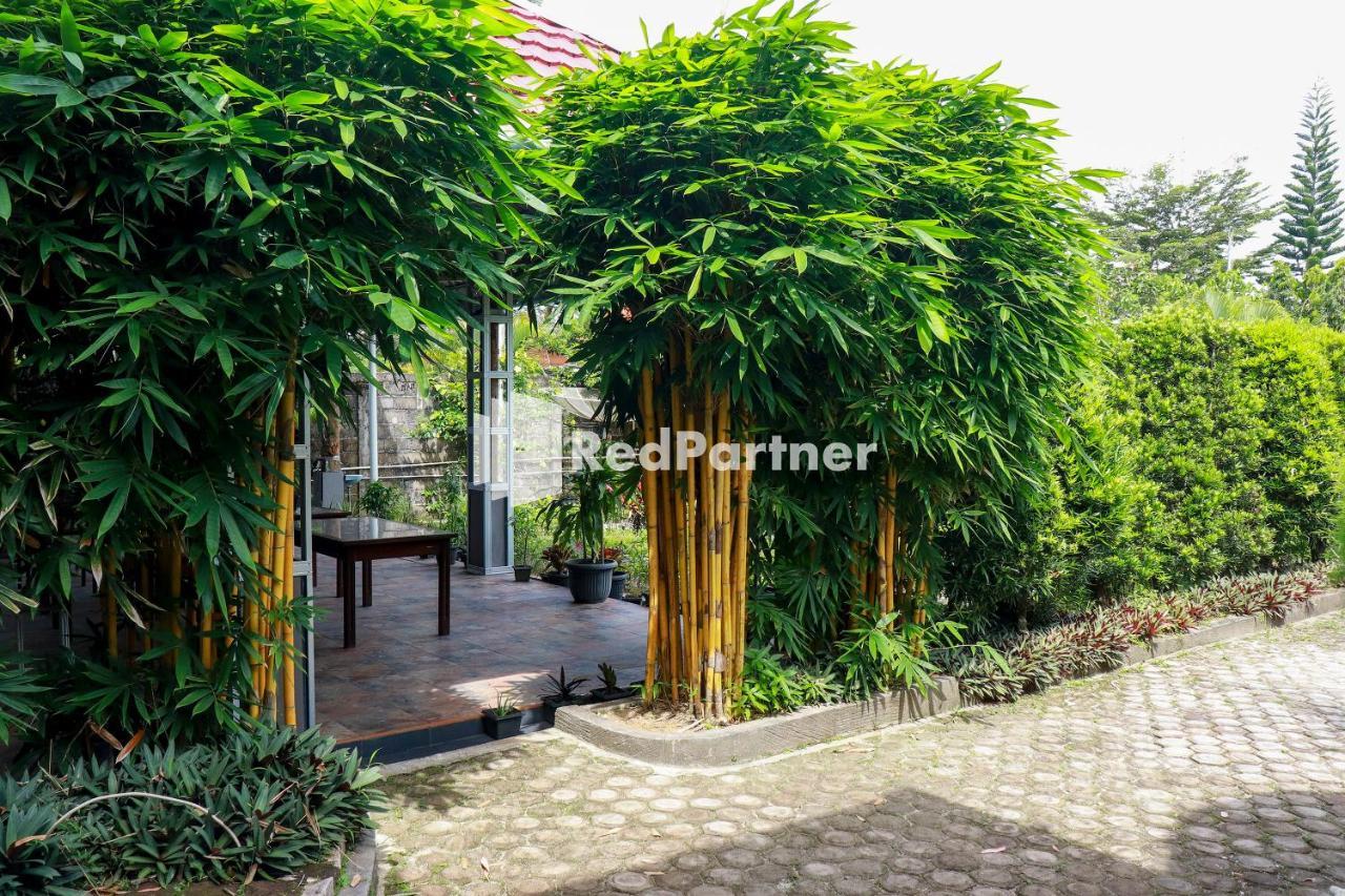 Hd Garden Villa Redpartner Jangkang Exterior photo