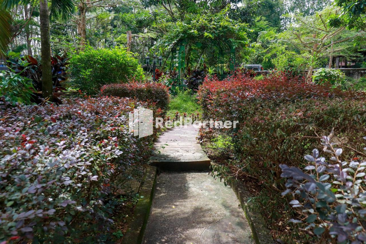 Hd Garden Villa Redpartner Jangkang Exterior photo